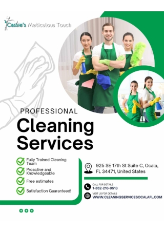 Professional Cleaning Services