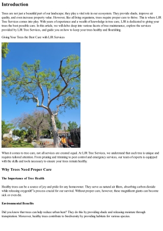 Giving Your Trees the Best Care with LJR Services