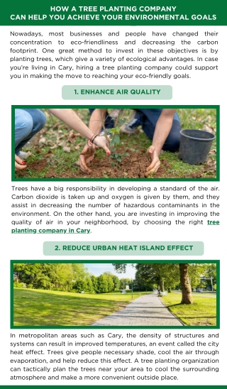 How a Tree Planting Company Can Help You Achieve Your Environmental Goals