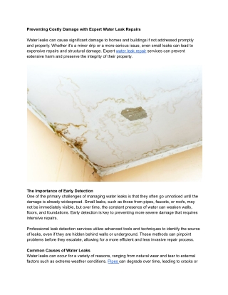 Preventing Costly Damage with Expert Water Leak Repairs