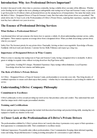 A Closer Look at the Professionalism of I-Drive’s Private Drivers