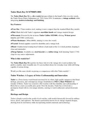 Tudor Watch Collection - Black Bay 54