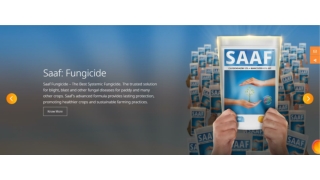 Saaf: Trusted Systemic Fungicide