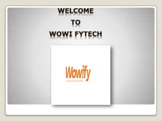 SEO Work in Calgary | Wowi Fytech