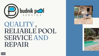Budnik Pools Services