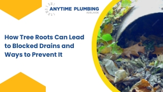 How Tree Roots Can Lead to Blocked Drains and Ways to Prevent It