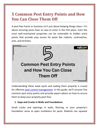 5 Common Pest Entry Points and How You Can Close Them Off