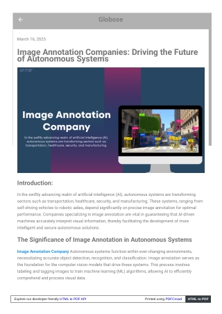 Image Annotation Companies Driving the Future of Autonomous Systems