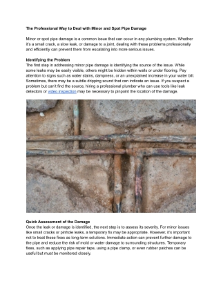 The Professional Way to Deal with Minor and Spot Pipe Damage