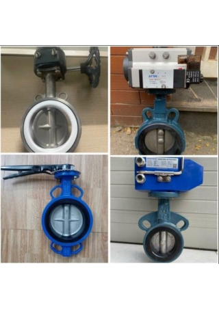 Van bướm Hàn Quốc - vanbuomhanoi