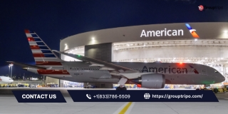 American Airlines Group Travel