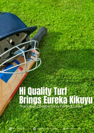 Hi Quality Turf Brings Eureka Kikuyu – The Ideal Choice for a Perfect Lawn