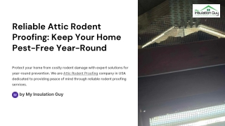 Reliable Attic Rodent Proofing: Keep Your Home Pest-Free Year-Round