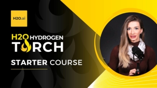 Hydrogen Torch - Starter Course - Presentation Slides