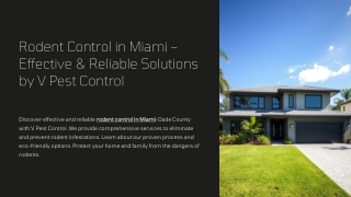Rodent Control in Miami – Effective & Reliable Solutions by V Pest Control