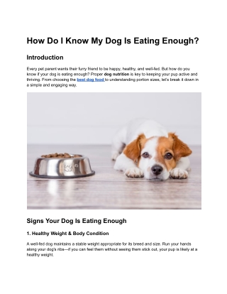 Is Your Dog Eating Enough? Signs, Nutrition, and Best Food Choices