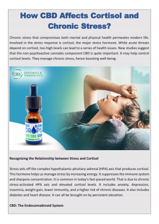 How CBD Affects Cortisol and Chronic Stress?