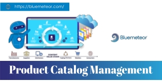 Boost Sales with Bluemeteor’s Product Catalog Management