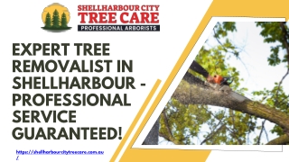 Expert Tree Removalist in Shellharbour - Professional Service Guaranteed!