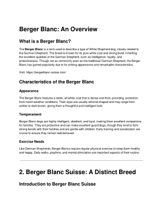 Berger Blanc: A Comprehensive Overview of Animal Welfare and Services