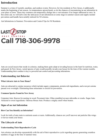 Ant Infestations in Summer: Prevention and Control Tips for NJ Residents