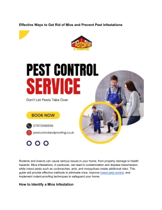 Effective Ways to Get Rid of Mice and Prevent Pest Infestations