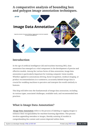 A comparative analysis of bounding box and polygon image annotation techniques.