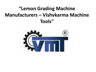 Top Lemon Grading Machine Manufacturers | High-Quality Sorting Equipment for Cit