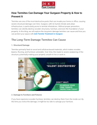 How Termites Can Damage Your Gurgaon Property & How to Prevent It