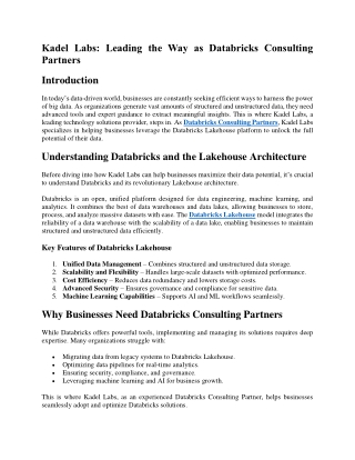 Kadel Labs Leading the Way as Databricks Consulting Partners