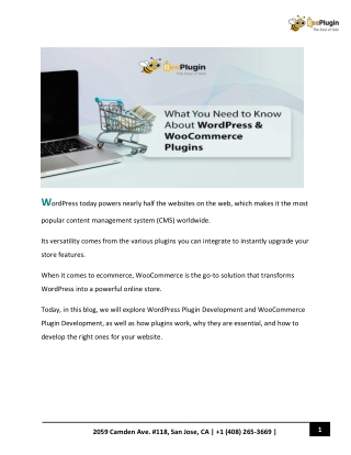 What You Need to Know About WordPress & WooCommerce Plugins