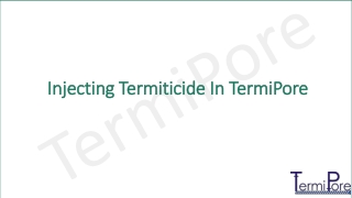 Injection of Termiticides in Termipore Pipe
