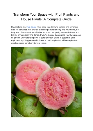 Buy Plants Online Cheap – Affordable & Quality Plants