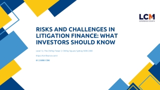 Risks and Challenges in Litigation Finance: What Investors Should Know