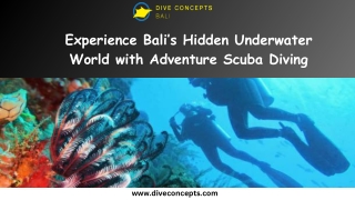 Experience Bali’s Hidden Underwater World with Adventure Scuba Diving