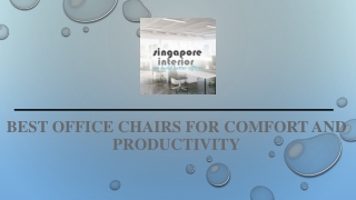 Best Office Chairs for Comfort and Productivity