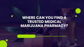 Get Personalized Cannabis Care Treatment