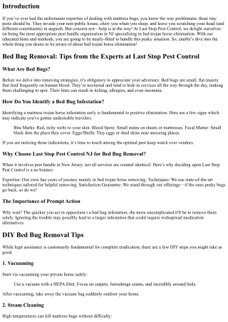 Bed Bug Removal: Tips from the Experts at Last Stop Pest Control