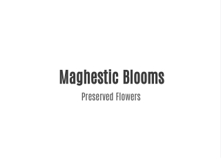 Maghestic Blooms