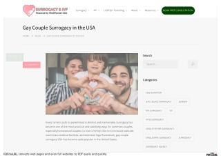 Gay Couple Surrogacy USA - Medipocket Surrogacy USA