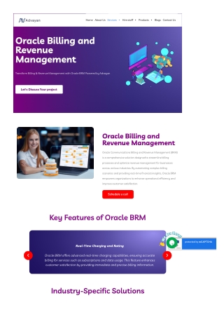 Oracle BRM Solutions