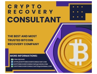MY EXPERIENCE WORKING WITH CRYPTO RECOVERY CONSULTANT
