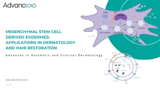 Mesenchymal Stem Cell-Derived Exosomes - Advancexo