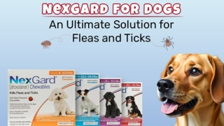 Nexgard for Dogs-An Ultimate Solution for Fleas and Ticks