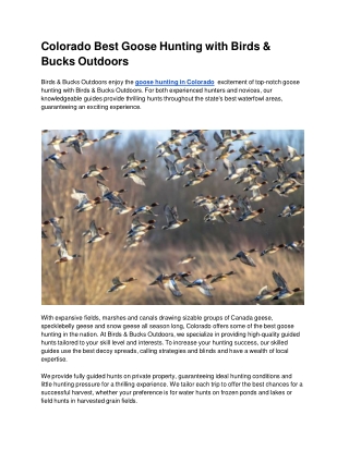 Colorado Best Goose Hunting with Birds & Bucks Outdoors
