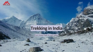 Trekking in India with Trek The Himalayas – Adventure Awaits!