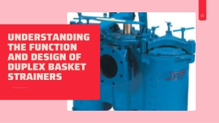 Understanding the Function and Design of Duplex Basket Strainers