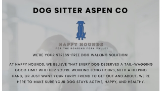 Dog Sitter Aspen CO