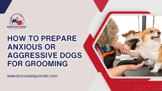 Tips for Grooming Dogs with Anxiety or Aggression