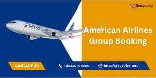 American Airlines Group Booking